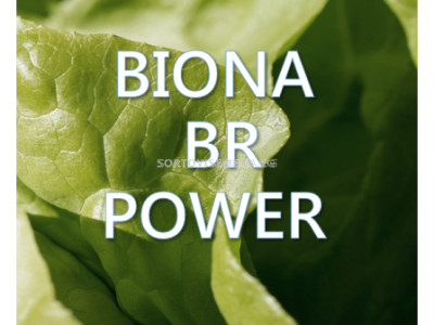   Biona BR Power - Биона БР Пауър
