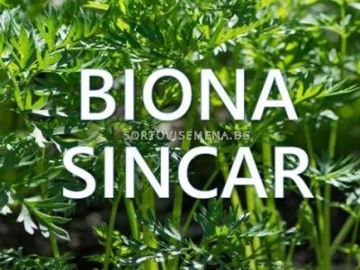   Biona Sincar - Биона Синкар - Биолимацид