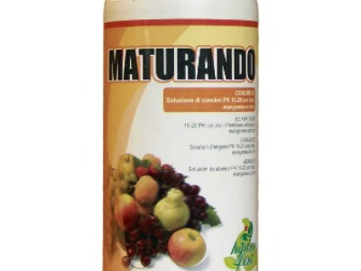   Матурандо / Maturando