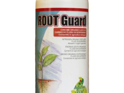   Роот Гард (Root Guard)