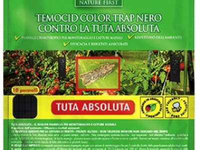   Леплив черен капан за доматен молец (Tuta Absoluta)